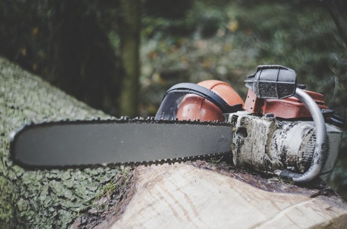 Chainsaw Felling Dogs/Bucking Spikes: Are They Necessary?